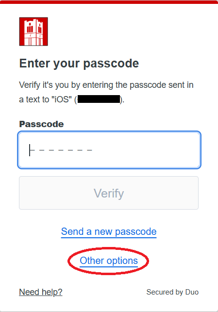 Duo Prompt Other Options