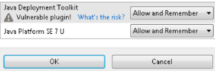 Dialog box with Allow and Remember button
