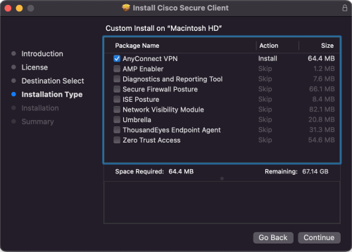Cisco Secure Client Installation Type window
