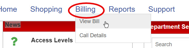 Navigation menu showing Billing menu expanded with View Bill selected.